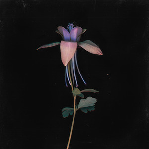 外国父女乱伦的比例
