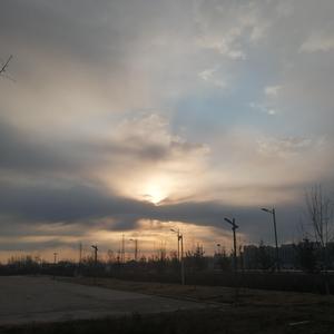 外国父女乱伦的比例
