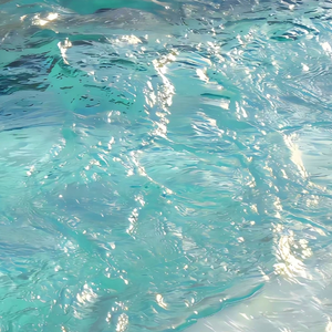 外国父女乱伦的比例
