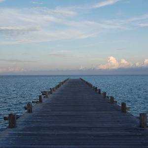 外国父女乱伦的比例
