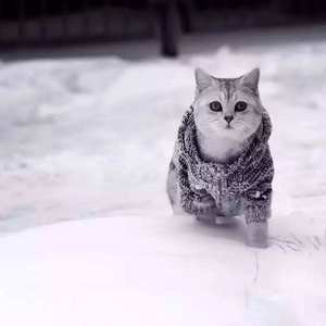 外国父女乱伦的比例
